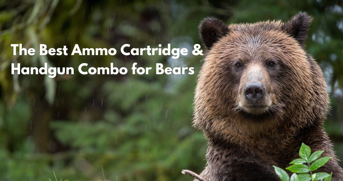 The Best Ammo Cartridge & Handgun Combo for Bears