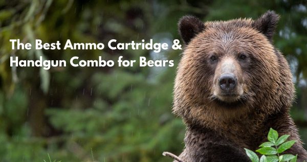 The Best Ammo Cartridge and Handgun Combo for Bears